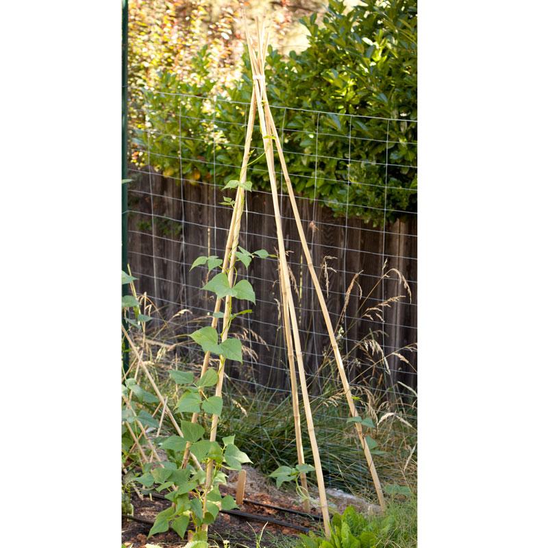 Bamboo Stakes - 10' (Pack of 10) - Grow Organic Bamboo Stakes - 10' (Pack of 10) Growing