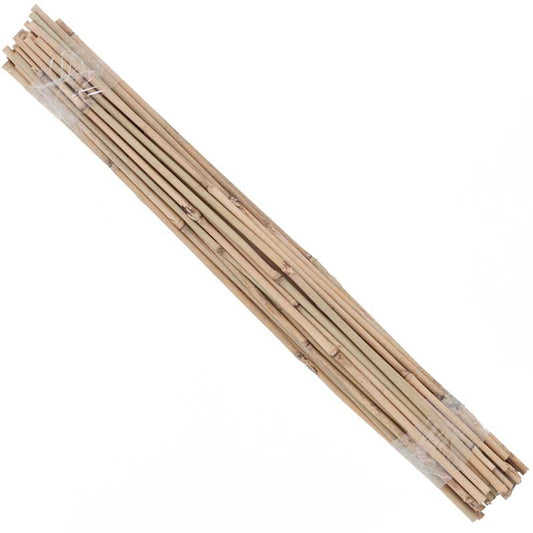 Bamboo Stakes - 2' (Pack of 50) - Grow Organic Bamboo Stakes - 2' (Pack of 50) Growing