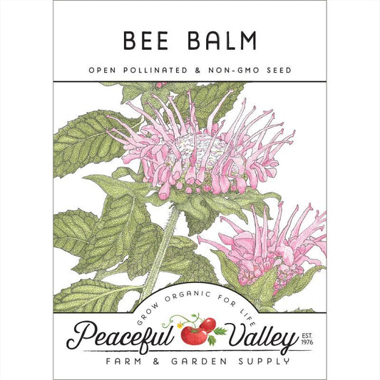 Bee Balm (pack) - Grow Organic Bee Balm (pack) Flower Seeds
