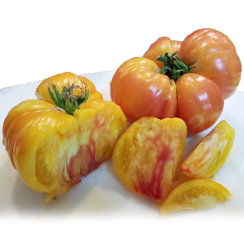 Big Rainbow Tomato Seeds (Organic) - Grow Organic Big Rainbow Tomato Seeds (Organic) Vegetable Seeds