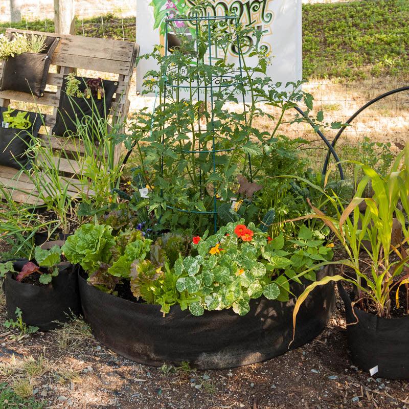 Smart Pot Big Bag Bed - Black (100 Gal) - Grow Organic Smart Pot Big Bag Bed - Black (100 Gal) Growing