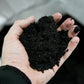  Biochar Soil Amendment (1 yd Tote) Growing