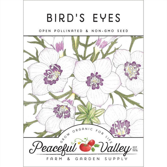 Bird's Eyes (pack) - Grow Organic Bird's Eyes (pack) Flower Seeds