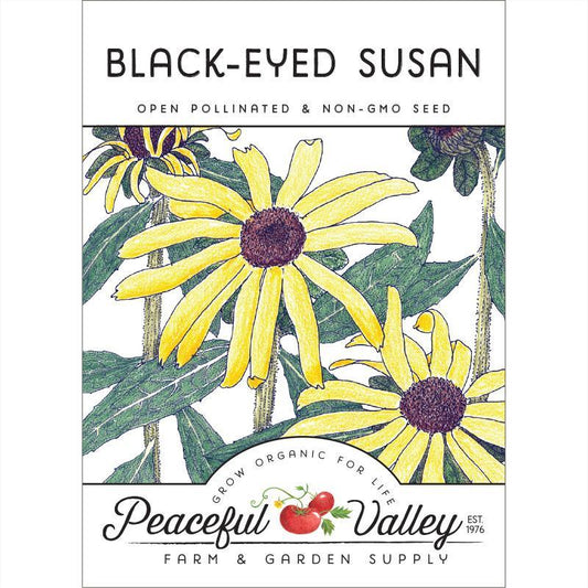 Black-Eyed Susan (pack) Peaceful Valley