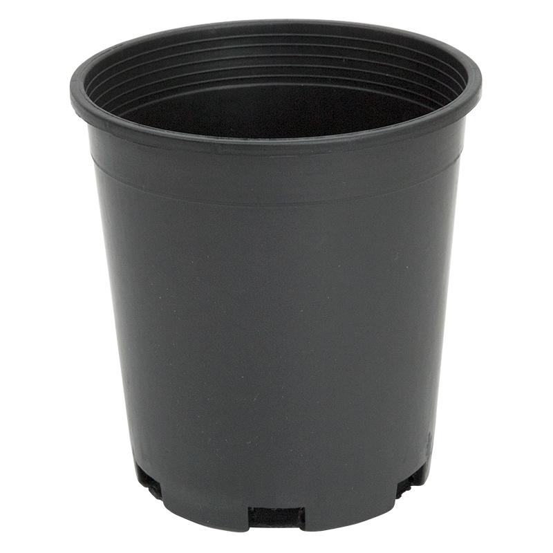 Black Plastic Pot (1 gallon size) - Grow Organic Black Plastic Pot (1 gallon size) Growing