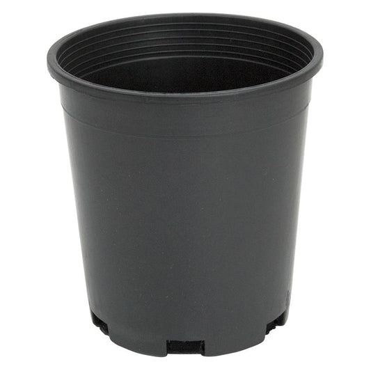 Black Plastic Pot (1 gallon size) - Grow Organic Black Plastic Pot (1 gallon size) Growing
