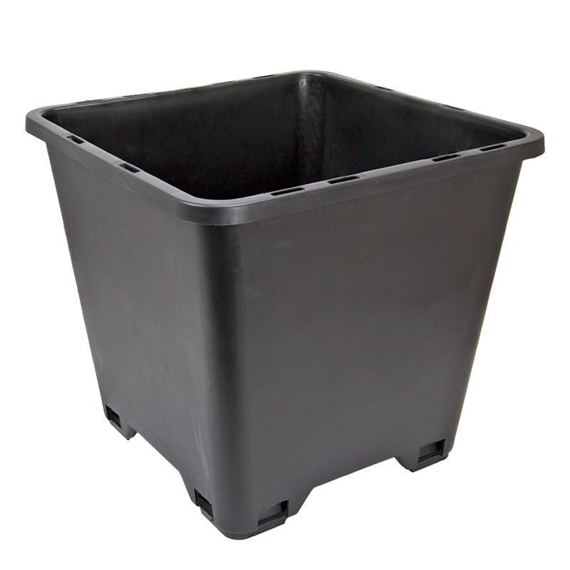 Blueberry Pot (14" sq) - Grow Organic Blueberry Pot (14" sq) Growing