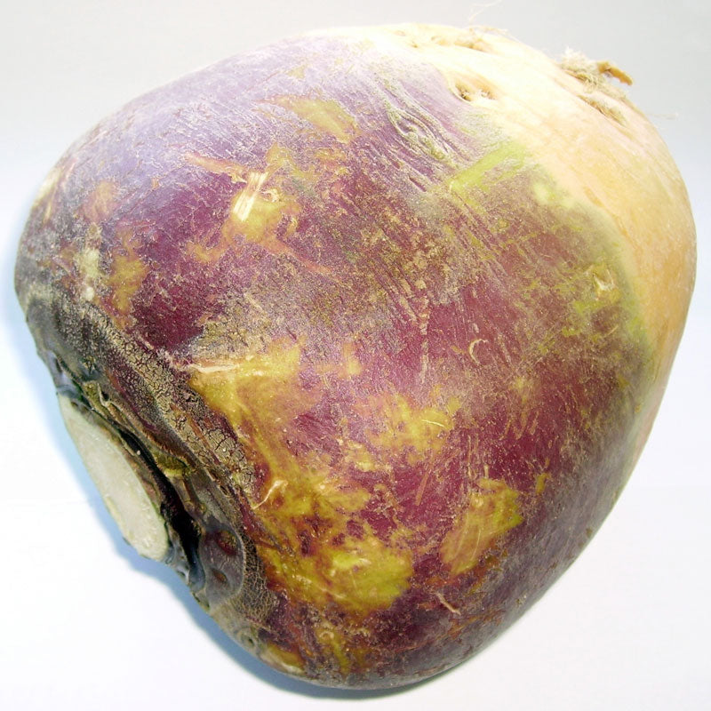 Joan Rutabaga Seeds (Organic) - Grow Organic Joan Rutabaga Seeds (Organic) Vegetable Seeds