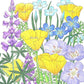 California Native Blue & Gold Wildflower Mix (1/4 lb) California Native Blue & Gold Wildflower Mix (1/4 lb) Flower Seeds