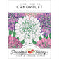 Candytuft, Dwarf (pack) - Grow Organic Candytuft, Dwarf (pack) Flower Seeds