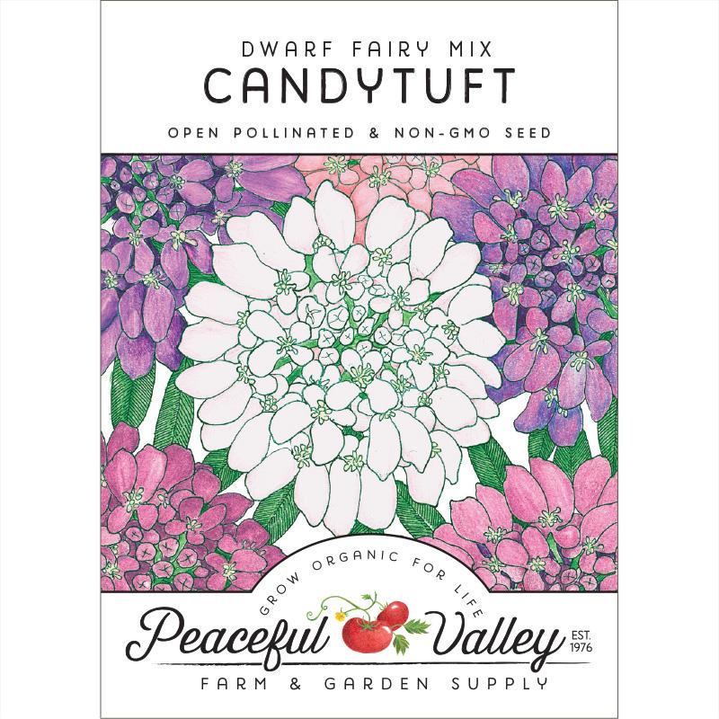 Candytuft, Dwarf (pack) - Grow Organic Candytuft, Dwarf (pack) Flower Seeds