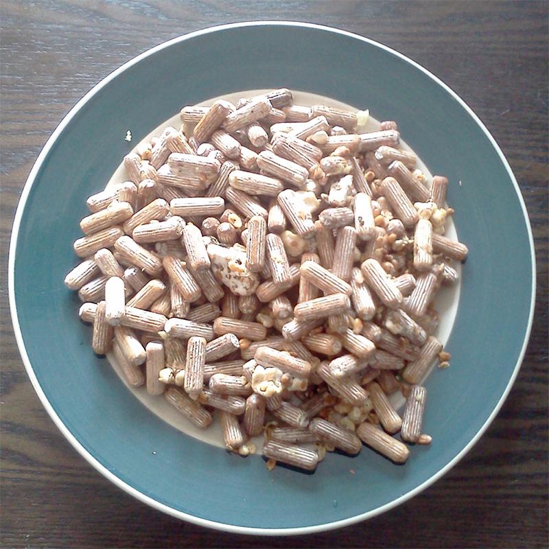 100+ Organic Pioppini Gourmet Mushroom Plugs - Ready For Log Inoculation