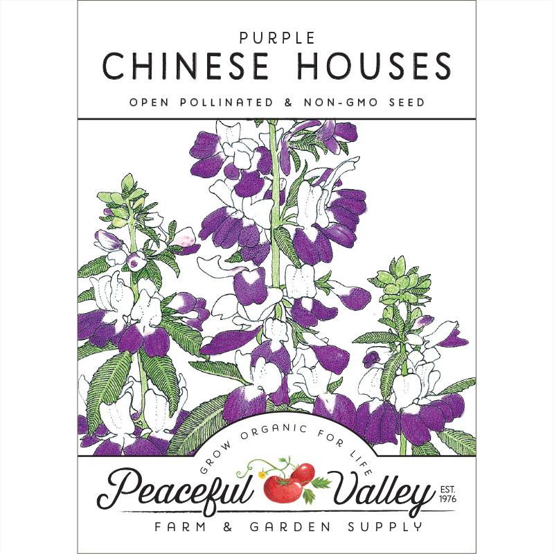 Chinese Houses (pack) - Grow Organic Chinese Houses (pack) Flower Seeds