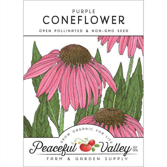Coneflower, Purple (pack) Peaceful Valley