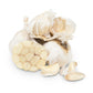 Conventionally Grown Garlic, California Late White Conventionally Grown Garlic, California Late White (lb) Garlic, Onions & Leeks