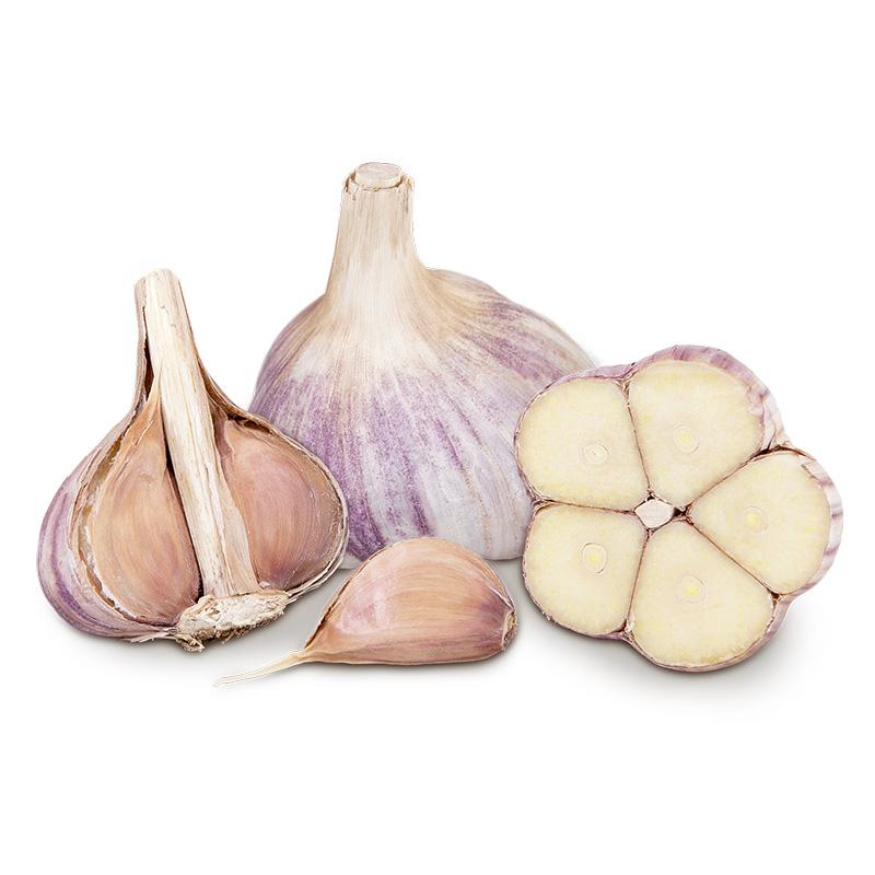 Conventionally Grown Garlic, Music - Grow Organic Conventionally Grown Garlic, Music (lb) Garlic, Onions & Leeks
