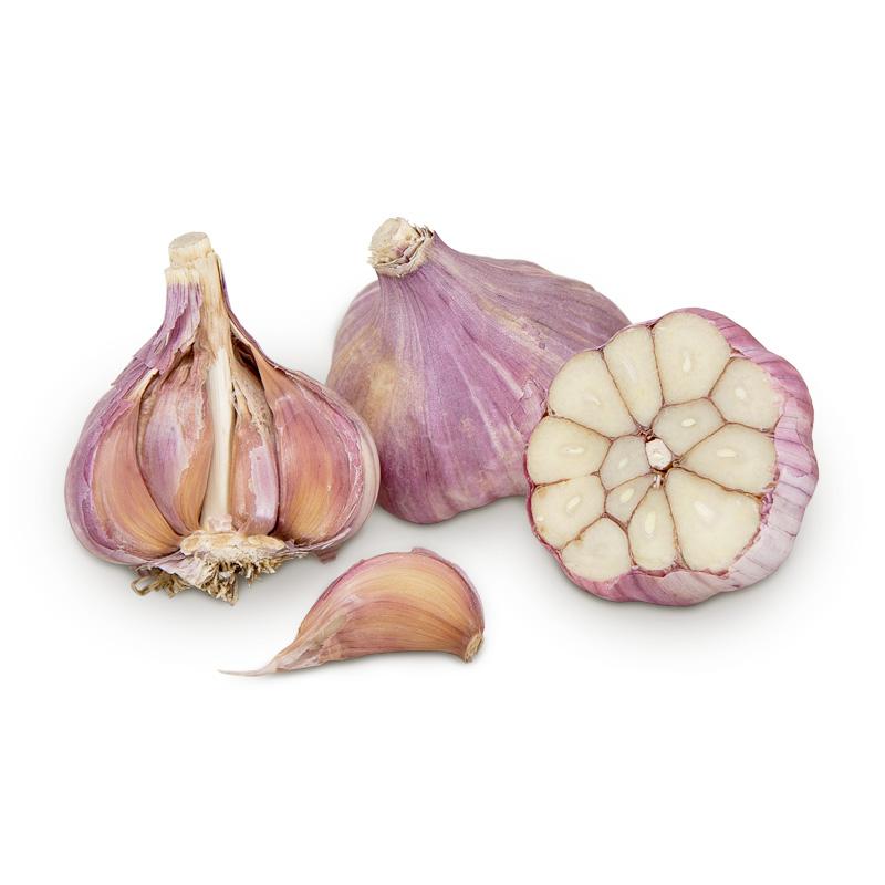 Conventionally Grown Garlic, Russian Red - Grow Organic Conventionally Grown Garlic, Russian Red (lb) Garlic, Onions & Leeks