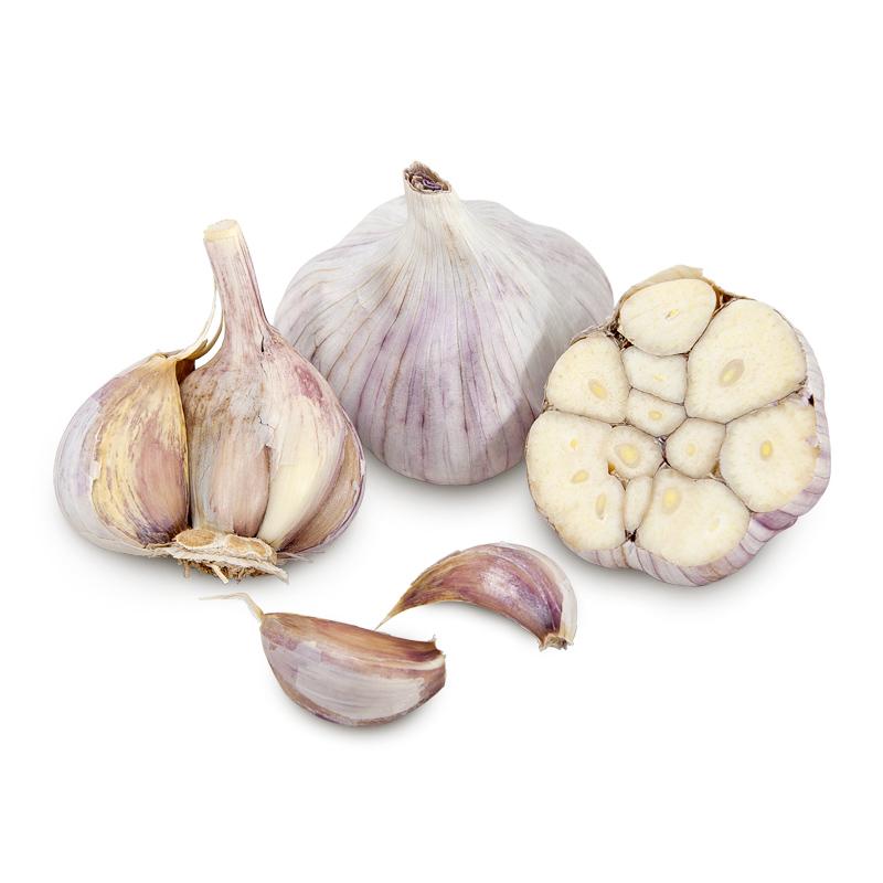 Conventionally Grown Garlic, Siberian - Grow Organic Conventionally Grown Garlic, Siberian (lb) Garlic, Onions & Leeks