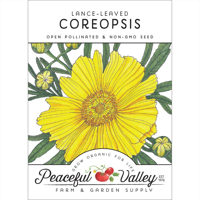 Coreopsis, Lance-Leaved (pack) - Grow Organic Coreopsis, Lance-Leaved (pack) Flower Seed & Bulbs