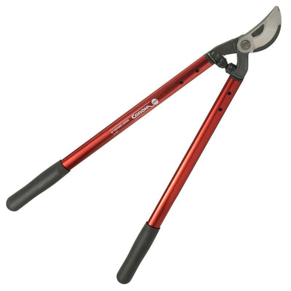 Commercial loppers clearance