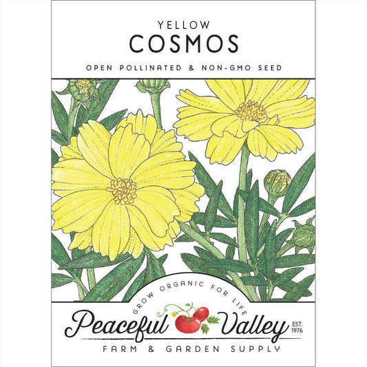 Cosmos, Yellow (pack) - Grow Organic Cosmos, Yellow (pack) Flower Seed & Bulbs