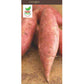 Covington Sweet Potato