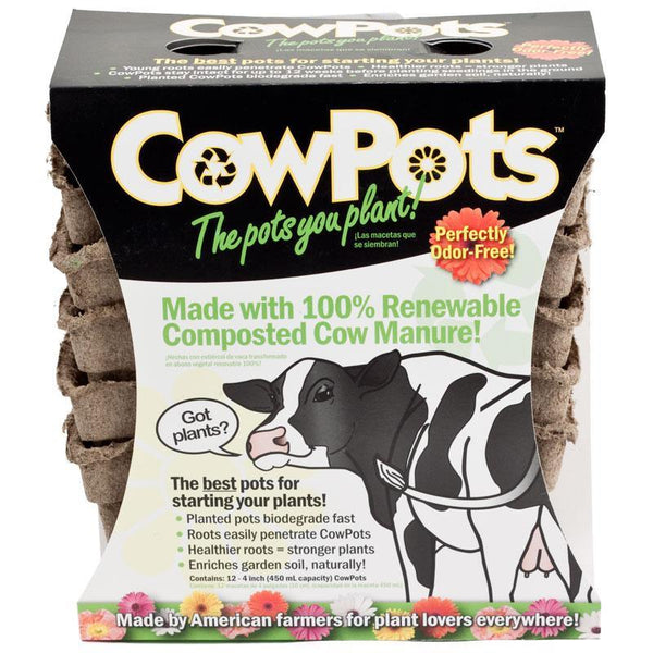 4 pack plant pots CowPots Square 4"