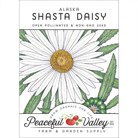 Daisy, Shasta (pack) - Grow Organic Daisy, Shasta (pack) Flower Seed & Bulbs