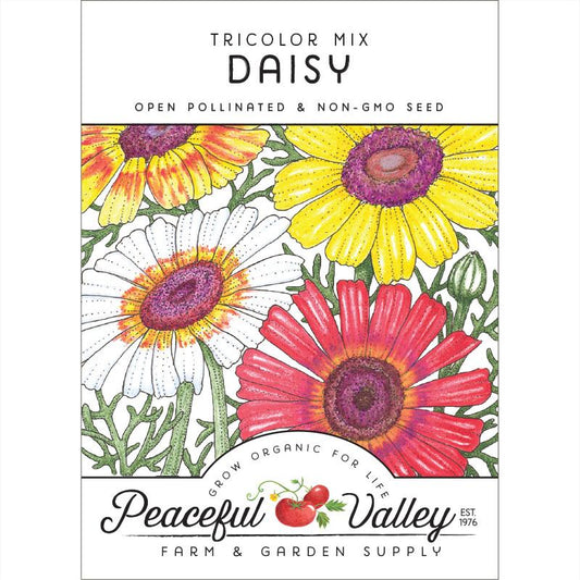Daisy, Tricolor Mix (pack) - Grow Organic Daisy, Tricolor Mix (pack) Flower Seed & Bulbs