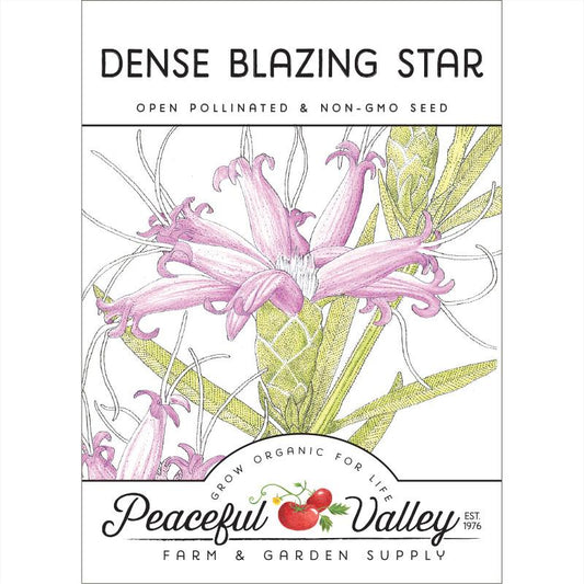 Dense Blazing Star (pack) - Grow Organic Dense Blazing Star (pack) Flower Seed & Bulbs