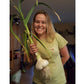 Conventionally Grown Garlic, Elephant - Grow Organic Conventionally Grown Garlic, Elephant (lb) Garlic, Onions & Leeks