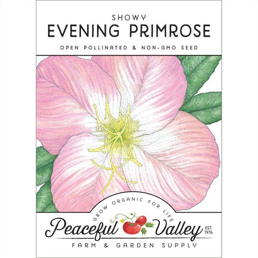 Evening Primrose, Showy (pack) - Grow Organic Evening Primrose, Showy (pack) Flower Seed & Bulbs