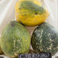 Crenshaw Melon Seeds (Organic) - Grow Organic Crenshaw Melon Seeds (Organic) Vegetable Seeds