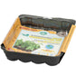 Fiber Grow Greenhouse Kit - 20 Pellet - Grow Organic