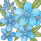 Forget-Me-Not, Chinese (1/4 lb) - Grow Organic