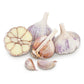 Conventionally Grown Garlic, Spanish Roja Conventionally Grown Garlic, Spanish Roja (lb) Garlic, Onions & Leeks