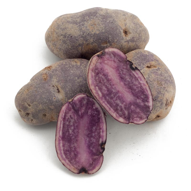 Organic All Blue Seed Potato (lb) Grow Organic