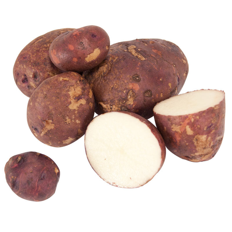 Organic Viking Purple Seed Potato (lb) Grow Organic