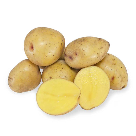 Organic Yukon Nugget Seed Potatoes (lb) Grow Organic