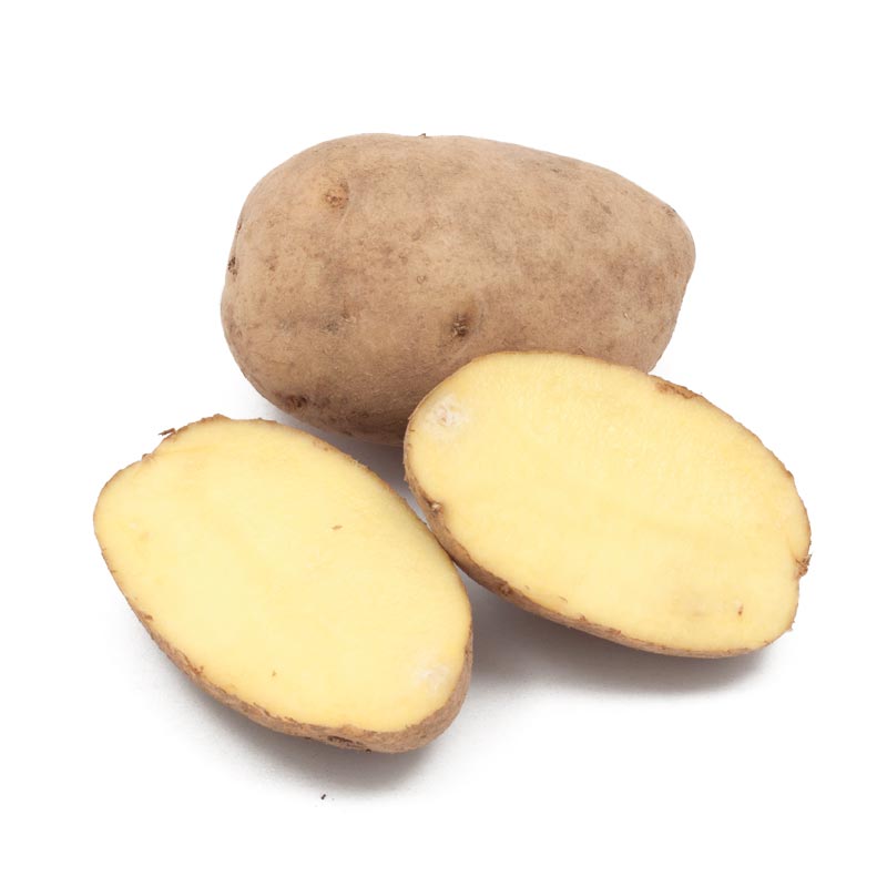 Spring-Planted Organic German Butterball Seed Potatoes - Grow Organic Spring-Planted Organic German Butterball Seed Potatoes (lb) Potatoes
