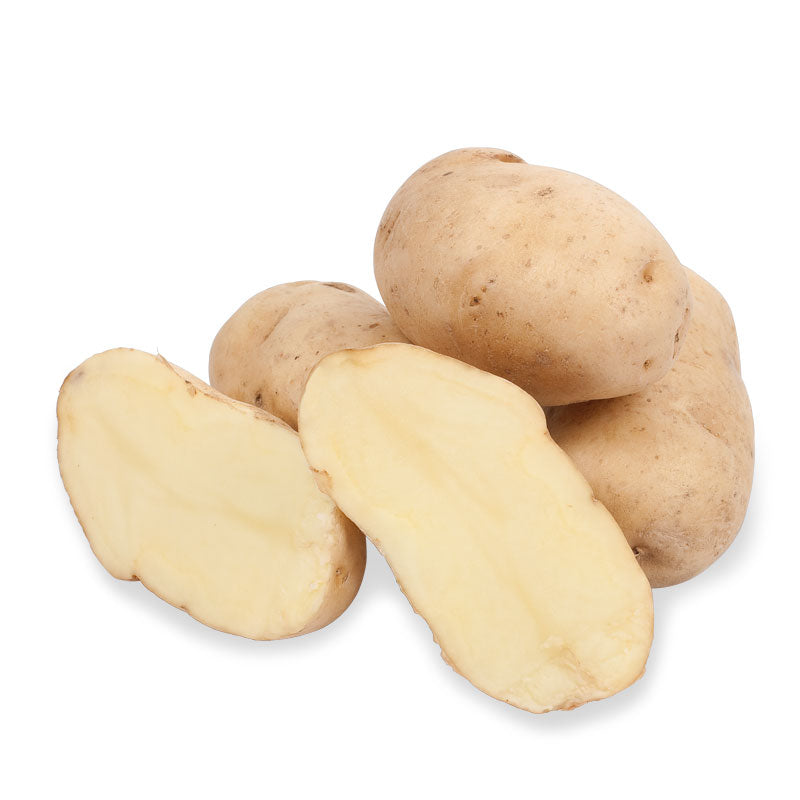 Organic Bintje Seed Potatoes (lb) Grow Organic