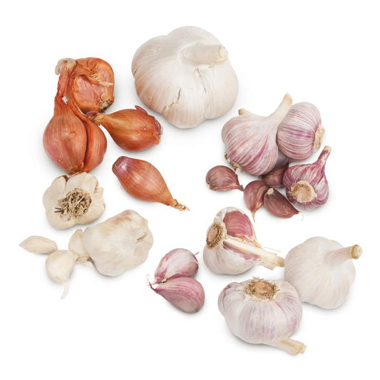 Garlic Combination Mix Pack for Sale - Grow Organic Garlic Combo Pack Garlic, Onions & Leeks
