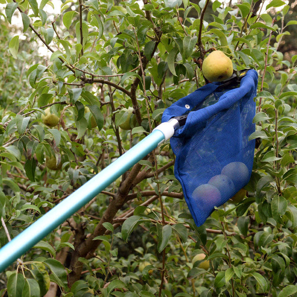 Clip N Pick Fruit Picker for Sale (Handle Only) Grow Organic