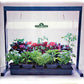 Jump Start 2-Foot Light System with One Lamp - Grow Organic Jump Start 2-Foot Light System with One Lamp Growing