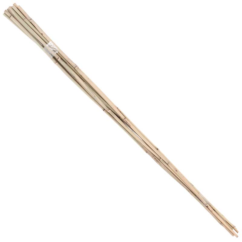 Bamboo Stakes - 10' (Pack of 10) - Grow Organic Bamboo Stakes - 10' (Pack of 10) Growing