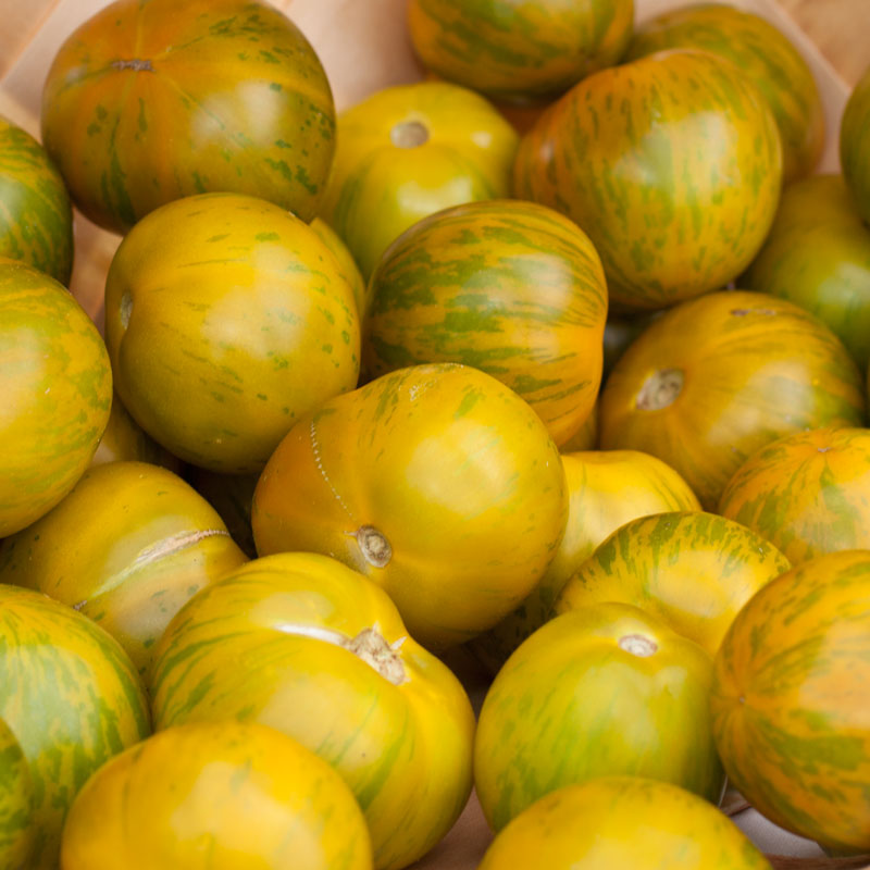 Organic Tomato, Green Zebra (1 oz) - Grow Organic Organic Tomato, Green Zebra (1 oz) Vegetable Seeds