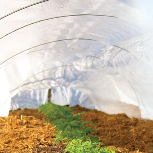 Greenhouse Poly - Tufflite IV Clear (42' x 100' Roll) Greenhouse Poly - Tufflite IV Clear (42' x 100' Roll) Growing