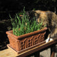 Renee's Garden Cat Treats Gourmet Mixed Greens Renee's Garden Cat Treats Gourmet Mixed Greens Vegetable Seeds