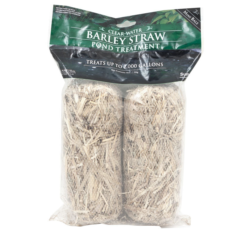 Pond Barley Mini Bales (2/pk) - Grow Organic Pond Barley Mini Bales (2/pk) Homestead