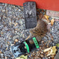 Jawz Mouse Trap - Grow Organic